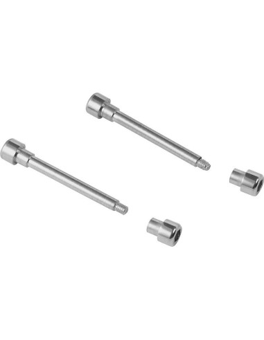 Passador Correia Leonardo-Giotto-Michelangelo-Donatello (par)