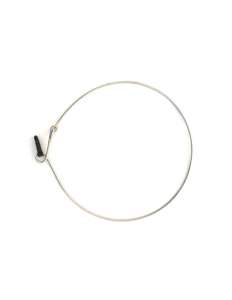 Porta Peixes Argola Inox Com Mosquetão